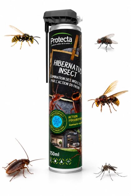 Protecta Hibernatus Insect 750 ml — Spray Froid Insecticide Choc (Cafards, Fourmis, Guêpes, Mouches)